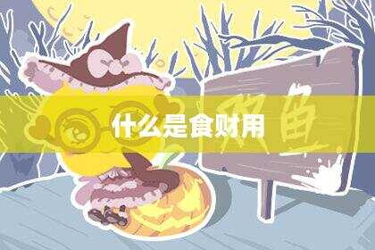 什么是食财用