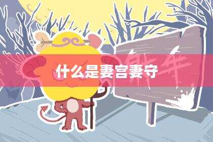 什么是妻宫妻守