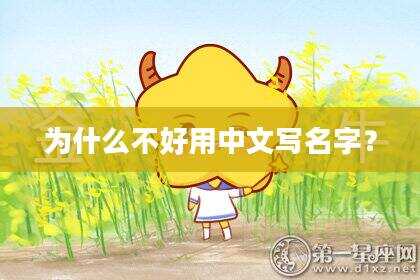 为什么不好用中文写名字？