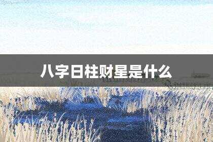 八字日柱财星是什么