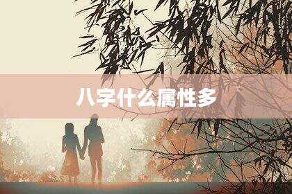 八字什么属性多