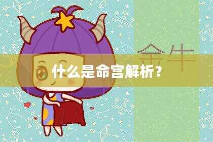 什么是命宫解析？
