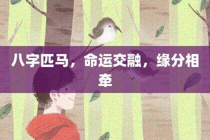 八字匹马，命运交融，缘分相牵