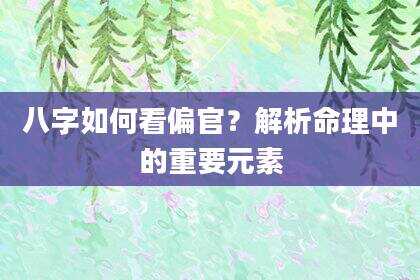 八字如何看偏官？解析命理中的重要元素