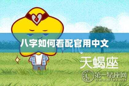 八字如何看配官用中文