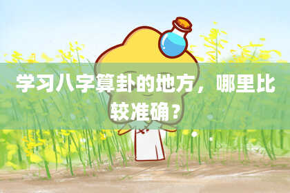 学习八字算卦的地方，哪里比较准确？