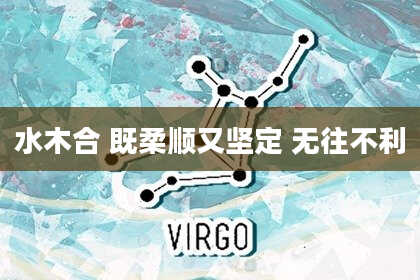 水木合 既柔顺又坚定 无往不利