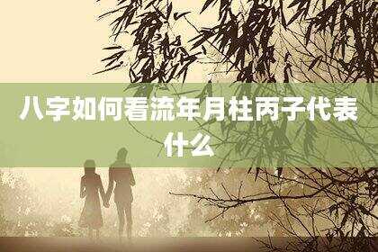 八字如何看流年月柱丙子代表什么