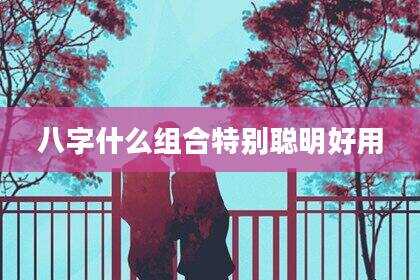 八字什么组合特别聪明好用