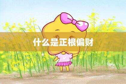 什么是正根偏财