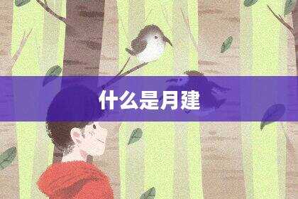 什么是月建