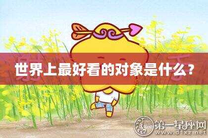 世界上最好看的对象是什么？