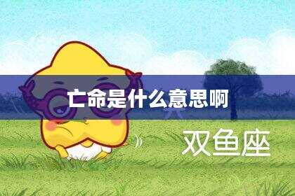 亡命是什么意思啊