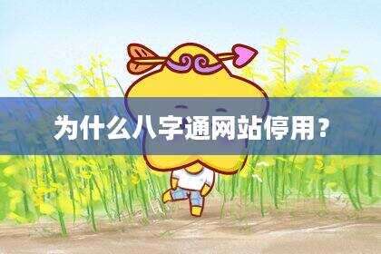为什么八字通网站停用？