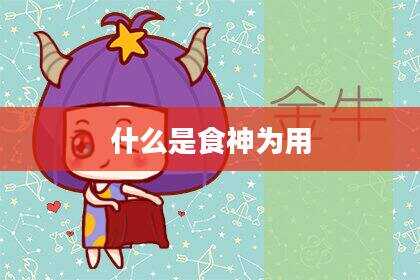 什么是食神为用