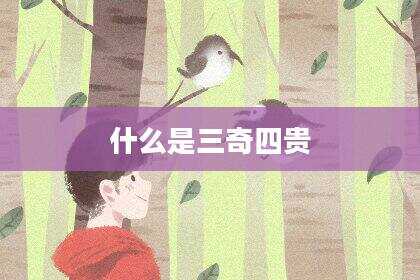 什么是三奇四贵