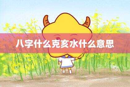 八字什么克亥水什么意思