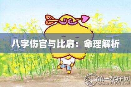 八字伤官与比肩：命理解析