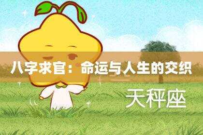 八字求官：命运与人生的交织