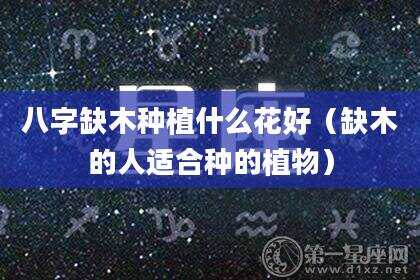 八字缺木种植什么花好（缺木的人适合种的植物）