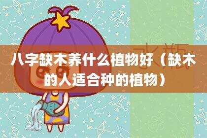 八字缺木养什么植物好（缺木的人适合种的植物）