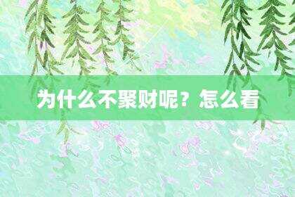 为什么不聚财呢？怎么看