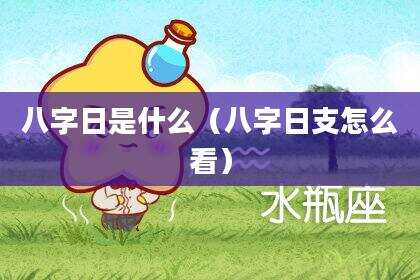 八字日是什么（八字日支怎么看）