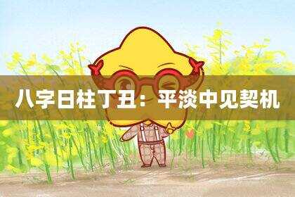 八字日柱丁丑：平淡中见契机