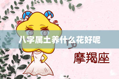 八字属土养什么花好呢