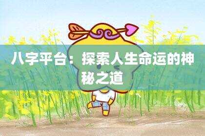 八字平台：探索人生命运的神秘之道