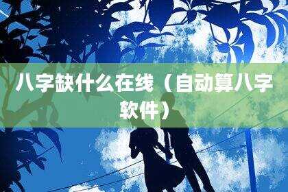 八字缺什么在线（自动算八字软件）