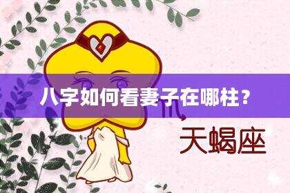 八字如何看妻子在哪柱？