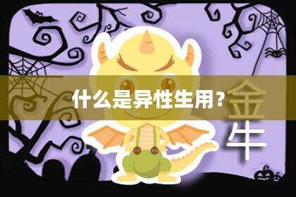 什么是异性生用？