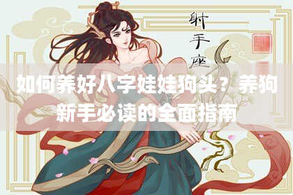 如何养好八字娃娃狗头？养狗新手必读的全面指南