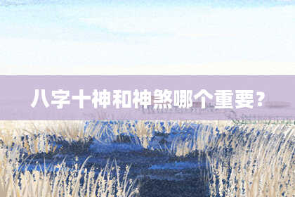 八字十神和神煞哪个重要？