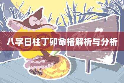 八字日柱丁卯命格解析与分析