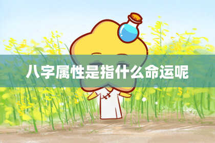 八字属性是指什么命运呢