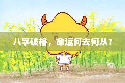 八字破格，命运何去何从？