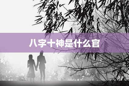 八字十神是什么官