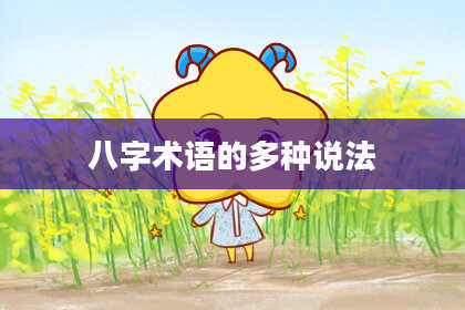 八字术语的多种说法