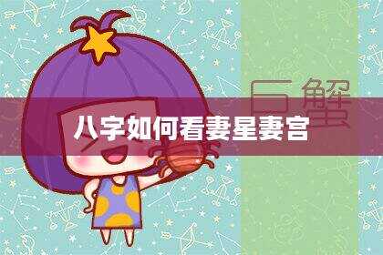 八字如何看妻星妻宫