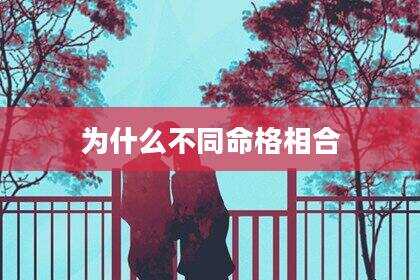 为什么不同命格相合