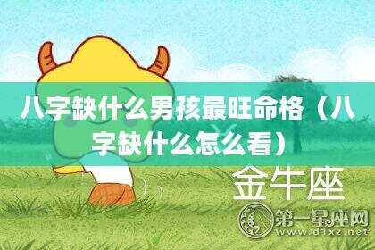 八字缺什么男孩最旺命格（八字缺什么怎么看）