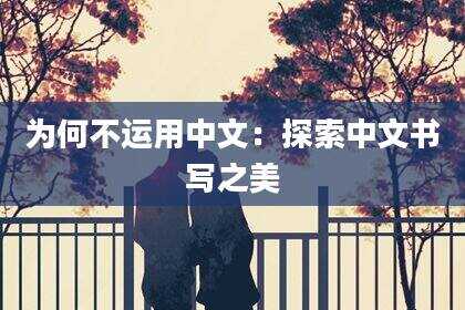 为何不运用中文：探索中文书写之美
