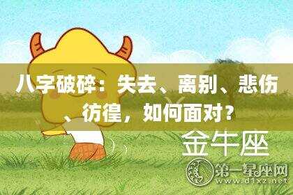 八字破碎：失去、离别、悲伤、彷徨，如何面对？