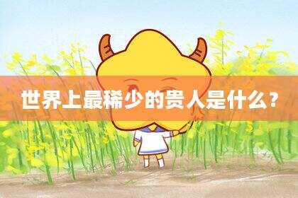 世界上最稀少的贵人是什么？