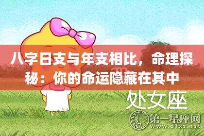 八字日支与年支相比，命理探秘：你的命运隐藏在其中
