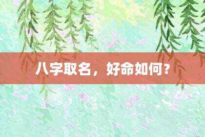 八字取名，好命如何？