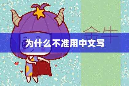 为什么不准用中文写