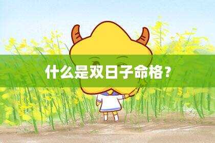 什么是双日子命格？